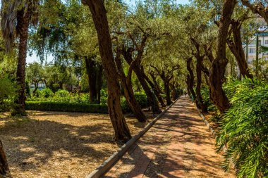 Yazın Taormina, Sicilya 'daki Villa Comunale Bahçesi' nden çıkan bir patika.