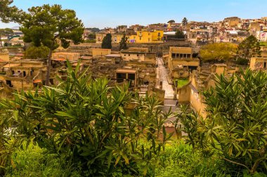 İtalya 'nın Herculaneum kentindeki iyi korunmuş Roma yerleşiminin bitkilerine bir göz atalım.