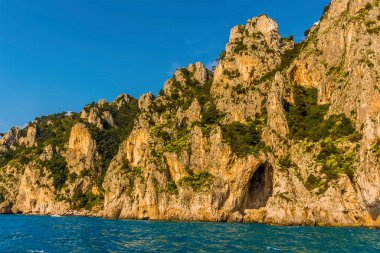 Bitkiler ve mağaralar İtalya 'nın Capri adasındaki kumtaşı kayalıklarını noktalıyor.