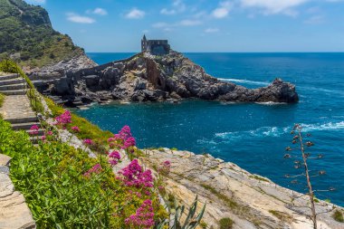 Byron 's Grotto' nun, İtalya 'nın Porto Venere kentindeki Aziz Peter Kilisesi' nin önündeki pembe çiçeklerin manzarası.