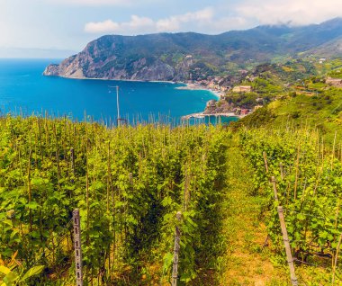 Yazın Monterosso 'dan Vernazza yoluna kadar sarmaşık manzarası
