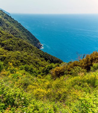 Yazın Monterosso 'dan Vernazza yoluna kadar güneye bakan bir manzara.