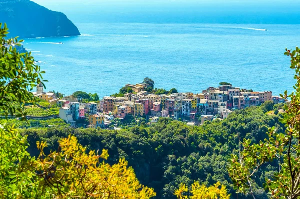 Close View Foliage Coastal Path Hill Top Village Corniglia Italy — Stock Photo, Image