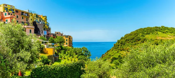 Längs Kanten Den Pittoreska Cinque Terre Byn Corniglia Italien Sommaren — Stockfoto