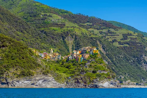 Encostas Cobertas Terraço Chegam Aldeia Cinque Terre Corniglia Itália Verão — Fotografia de Stock