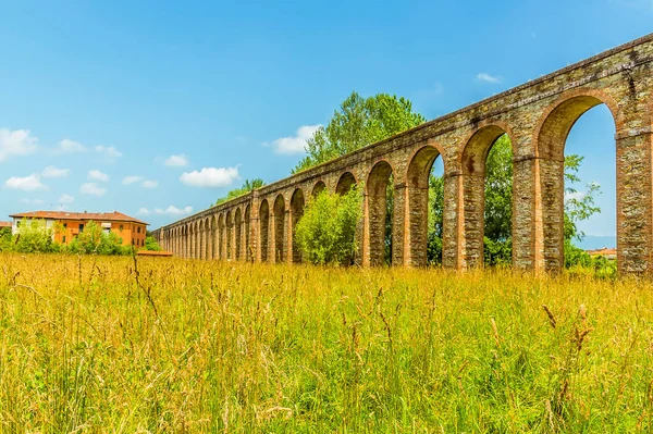 Widok Pola Imponującego Akweduktu Nottolini Lucca Włochy Latem — Zdjęcie stockowe