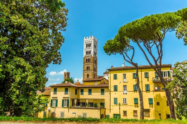 View City Walls City Lucca Italy Summer — Stock Photo, Image