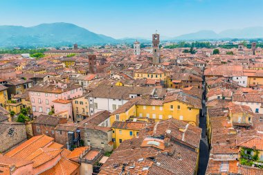 İtalya 'nın Lucca kentinin terracotta çatıları ve renkli binaları üzerindeki Guinigi Kulesi manzarası