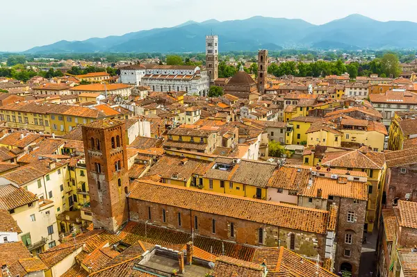Panorama View Roof Tops Martin Cathedral Lucca Italy Summer — Stock Photo, Image