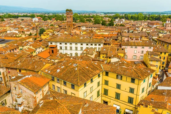 View Terracotta Roof Tops Guinigi Tower Lucca Italy Summer — Stock Photo, Image