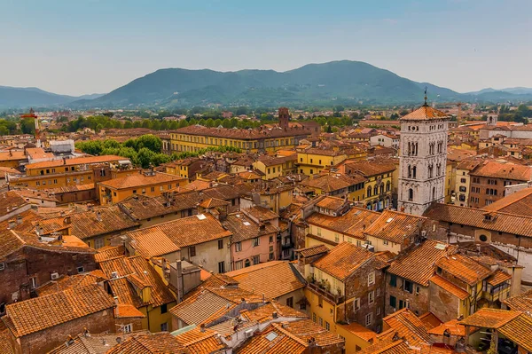 View Terracotta Roof Tops Napolean Square Lucca Italy Summer — Stock Photo, Image