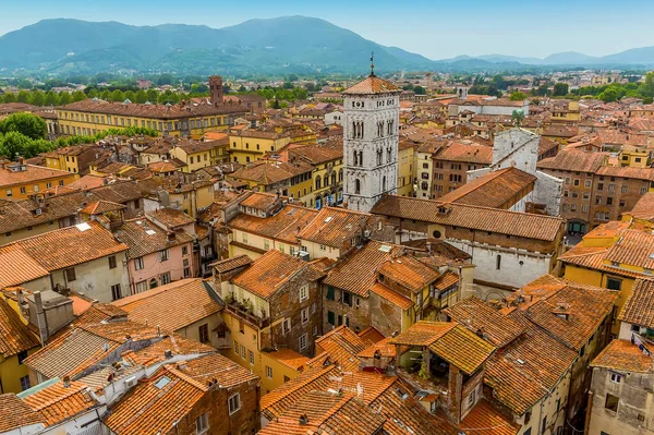 View Eastward Guinigi Tower Lucca Italy Summer — Stock Photo, Image