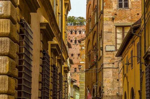 View Fortified Streets Guinigi Tower Lucca Italy Summer — Stock Photo, Image