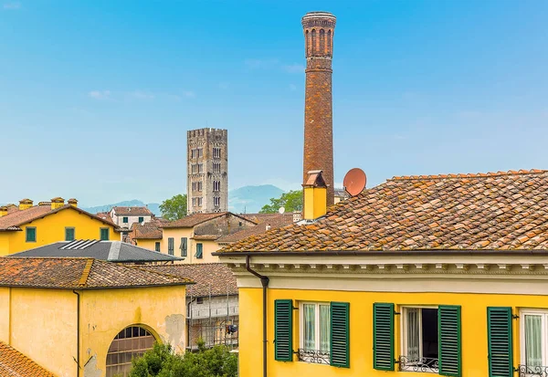 View Guinigi Tower Lucca Italy Summer — Stock Photo, Image