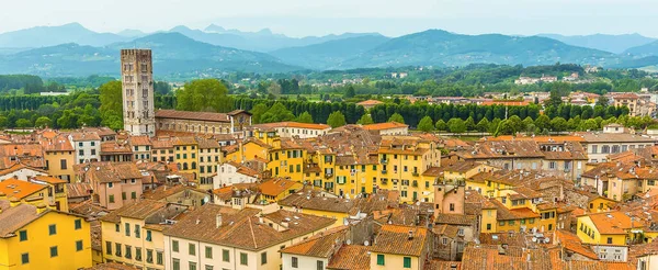 View Guinigi Tower Amphitheatre Square Lucca Italy Summer — Stock Photo, Image