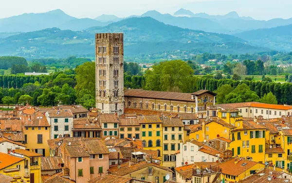 View Guinigi Tower Saint Frediano Church Lucca Italy Summer — Stock Photo, Image