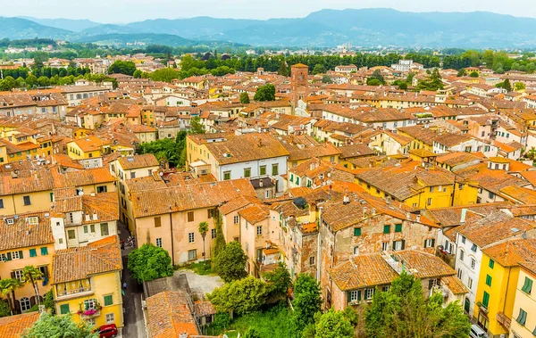 View Guinigi Tower Roof Tops Botanical Gardens Lucca Italy Summer — Stock Photo, Image