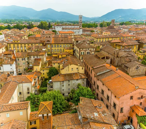 View Guinigi Tower Roof Tops Martin Cathedral Lucca Italy Summer — Stock Photo, Image