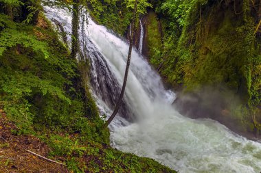 Yazın İtalya, Umbria, Marmore 'da büyük bir şelalenin yan görüntüsü