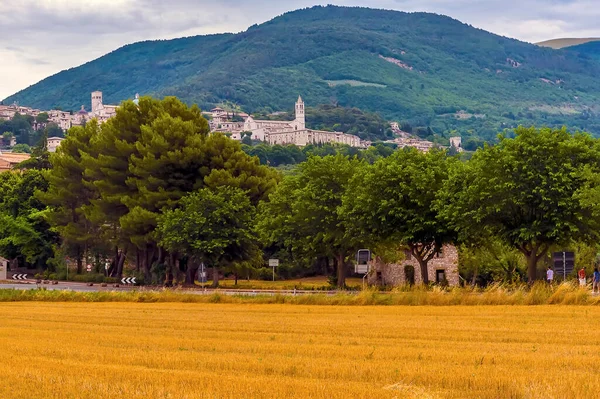 A view across a field of hay towards the hill town of Assisi, Umbria, Italy in the summertime