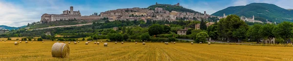 A panorama view across a field of hay towards the hill town of Assisi, Umbria, Italy in the summertime