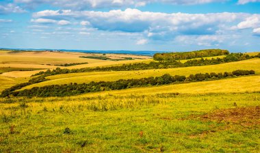 Yazın İngiltere 'nin Sussex kentindeki Rottingdean kasabasına yakın olan Güney Tepeleri manzarası