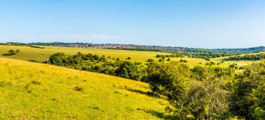 Yazın Brighton, Sussex, İngiltere 'ye uzanan Güney Tepeleri' ndeki Chattri savaş anıtından bir manzara