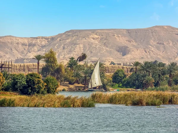 여름에 이집트 룩소르 근처의 일강에서 바라본 — 스톡 사진