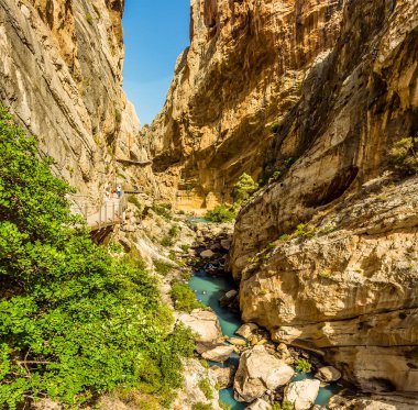 Gaitanejo Nehri 'nin ve Caminito del Rey yolunun, yaz mevsiminde İspanya' nın Ardales kenti yakınlarındaki geçidini gösteren bir manzara.