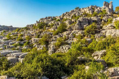 Yıpranmış kireç taşı levhaları, yazın İspanya 'nın Antequera kenti yakınlarındaki El Torcal' ın Karst arazisinde bir sırt oluşturur.