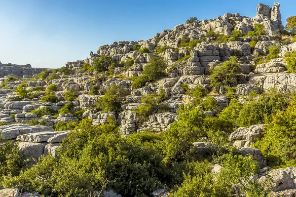 風化した石灰岩のスラブは 夏にスペインのAntequeraに近いEl Torcalのカルスト地形の尾根を形成します — ストック写真