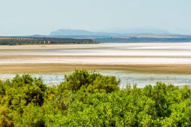 Fuente de Piedra gölü boyunca uzanan manzara İspanya 'nın en büyük iç gölü.