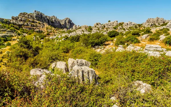 夏にスペインのAntequeraに近いEl TorcalのKarst風景の風化した石灰岩への眺め — ストック写真