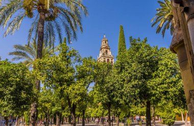 Campanario 'nun çan kulesi İspanya' nın eski Cordoba kentindeki Mezquita Meydanı 'ndaki ağaç tepe örtüsünün içinden geçer.