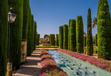 İspanya 'nın Cordoba kentinde yaz aylarında ağaç ve su sütunları