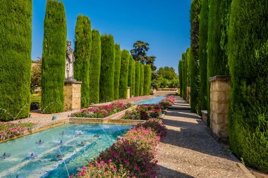 İspanya 'nın Cordoba şehrinde yaz mevsiminde havuzlar, çiçekler ve yükselen selvi ağaçları