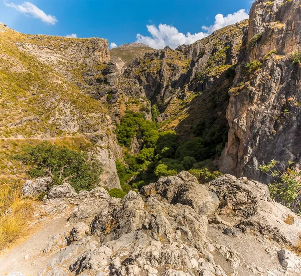 Вид Ущелье Реки Монахил Горах Сьерра Невада Испания Летом — стоковое фото