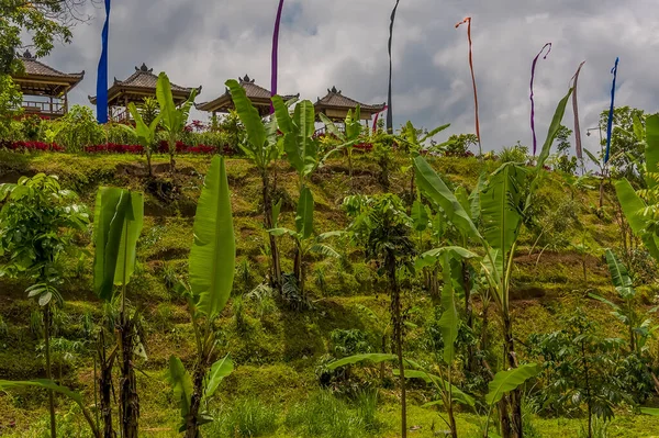 View Terraces Pagodas Decorated Nyepi Festival Highlands Bali Asia — Stock Photo, Image