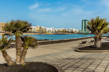 Güneşli bir öğleden sonra Arrecife, Lanzarote 'deki Reducto plajının karşısındaki Kaktüs parkından bir manzara.