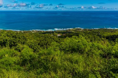 Hackleton Kayalıklarından Barbados 'taki Atlantik kıyısına doğru bir manzara