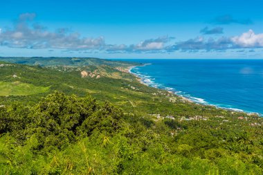 Barbados 'taki Atlantik kıyısı boyunca Hackleton Kayalıklarından bir manzara