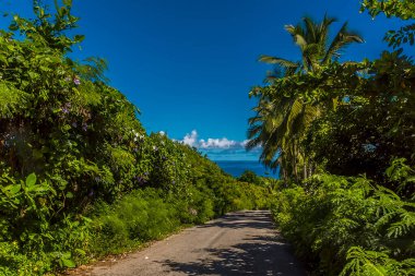 Barbados 'un Atlantik kıyısındaki ana yolun manzarası.