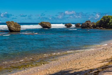 Barbados 'un Atlantik kıyısındaki Bathsheba Sahili açıklarındaki dalgalı kaya hatlarına doğru bir manzara.