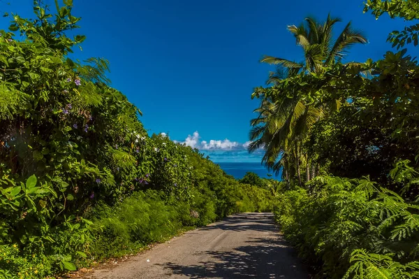 Barbados 'un Atlantik kıyısındaki ana yolun manzarası.