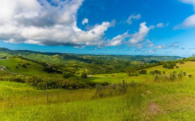 Barbados 'un Atlantik kıyısındaki dağlık arazi manzarası