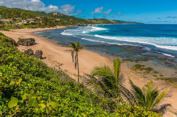 Las Olas Atlánticas Llegan Playa Curva Betsabé Costa Atlántica Barbados — Foto de Stock