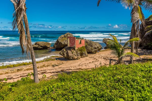 Вид Покинуту Хатину Березі Батшеви Атлантичне Узбережжя Барбадосу — стокове фото