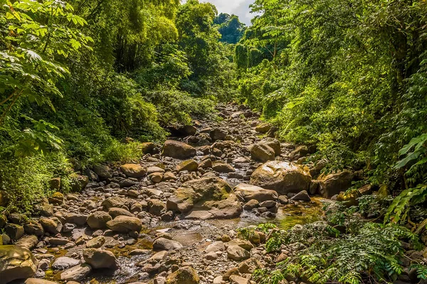 Kilátás Egy Patak Mount Soufriere Saint Vincent — Stock Fotó