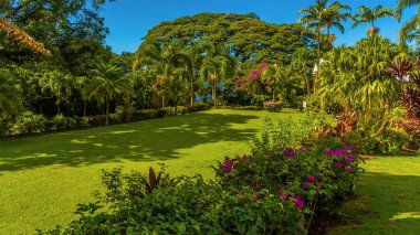 St. Kitts 'te iyi korunan bir bahçe manzarası.