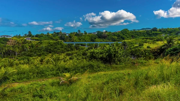 Een Zicht Een Verhoogd Deel Van Smalspoorbaan Kitts — Stockfoto